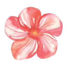 水彩植物花朵图案