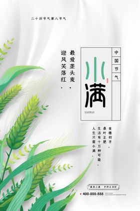 小满插画