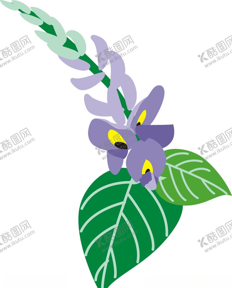 编号：39910606182045292613【酷图网】源文件下载-葛根花