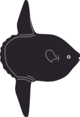 海洋生物系列海鱼