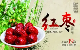 红枣