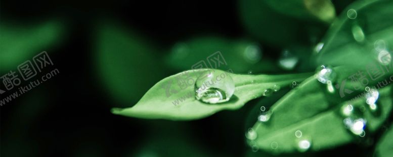 编号：71752509221651003880【酷图网】源文件下载-白露