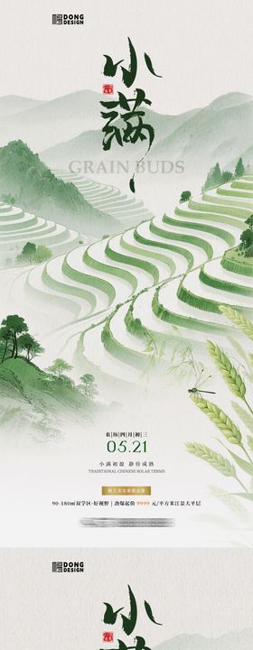 小满插画系列海报