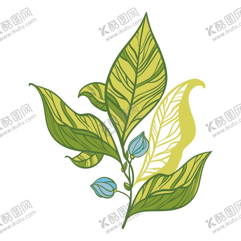 编号：65769105190139286125【酷图网】源文件下载-清新绿植