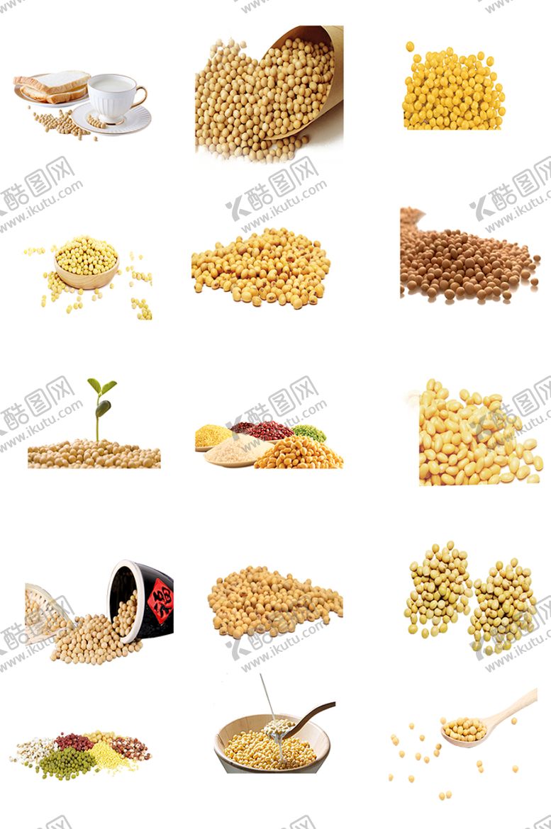 编号：51845910182227304048【酷图网】源文件下载-大豆