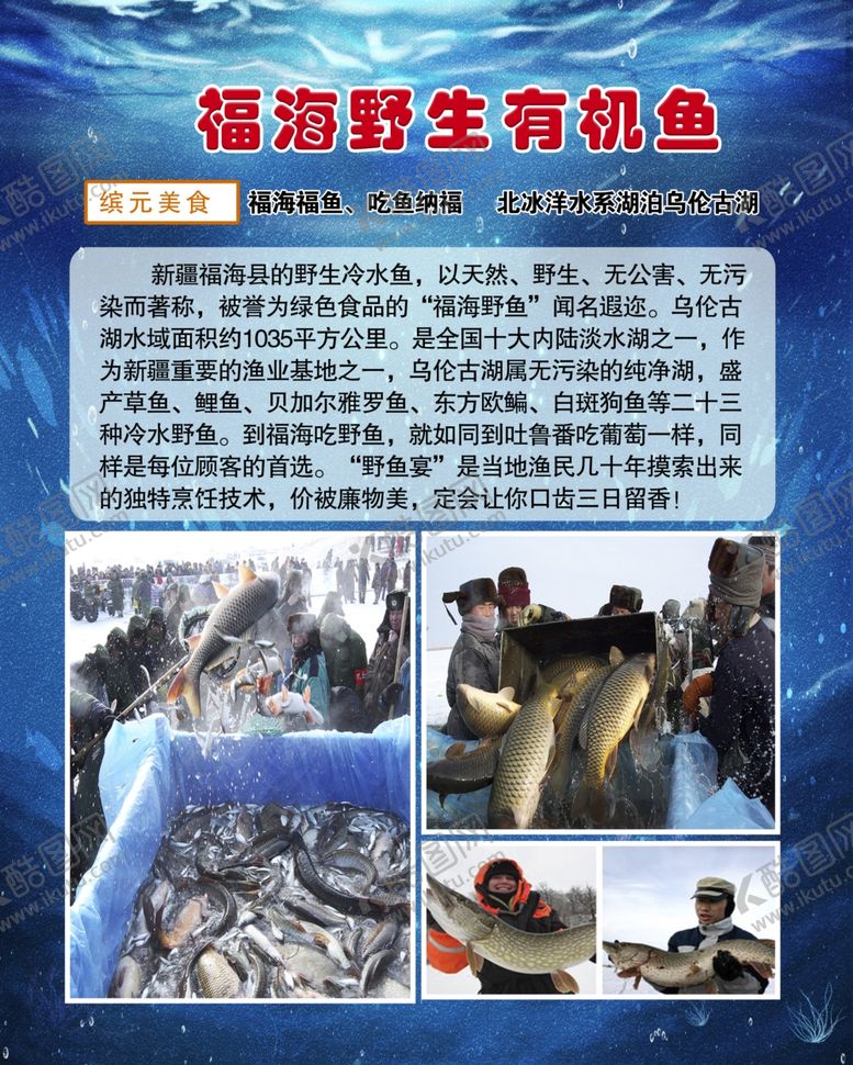 编号：53205309302015158567【酷图网】源文件下载-野生鱼介绍