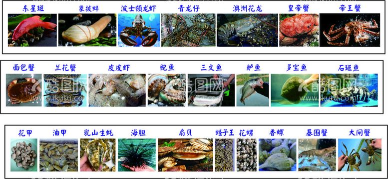 编号：25525512220835126976【酷图网】源文件下载-新鲜活海鲜