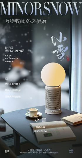 小雪家居节气海报