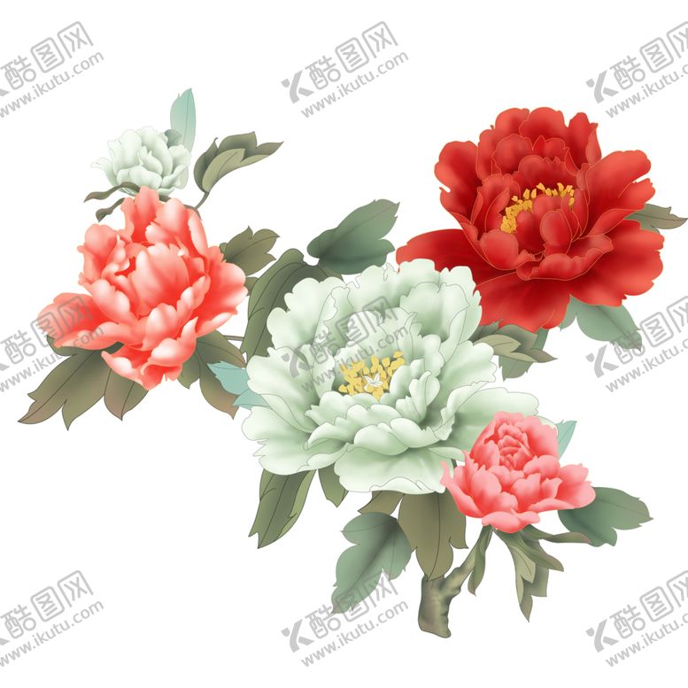 编号：29439504301519598949【酷图网】源文件下载-牡丹花