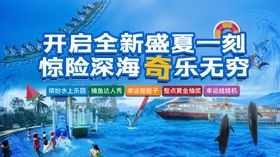 开启盛夏深海欢乐时刻