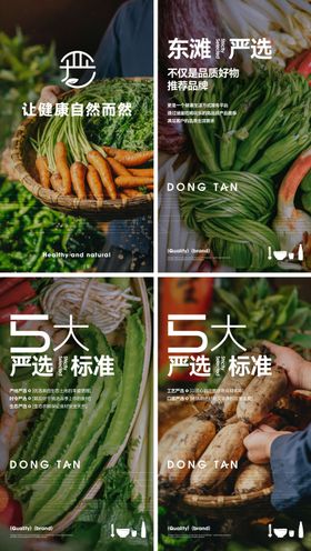 食品严选系列海报