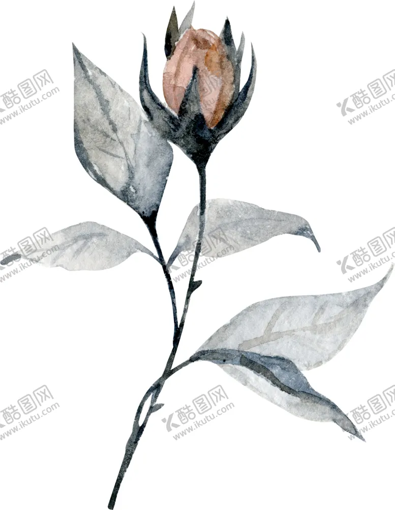 编号：11925506281215183483【酷图网】源文件下载-水彩绘画花朵树枝装饰
