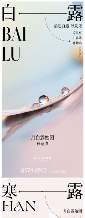 白露寒露海报