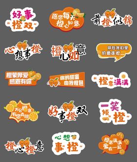 橙子口号标语手举牌