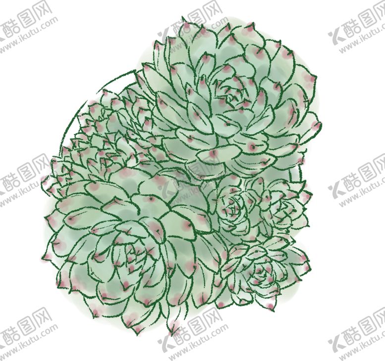 编号：51855209201832424122【酷图网】源文件下载-手绘多肉