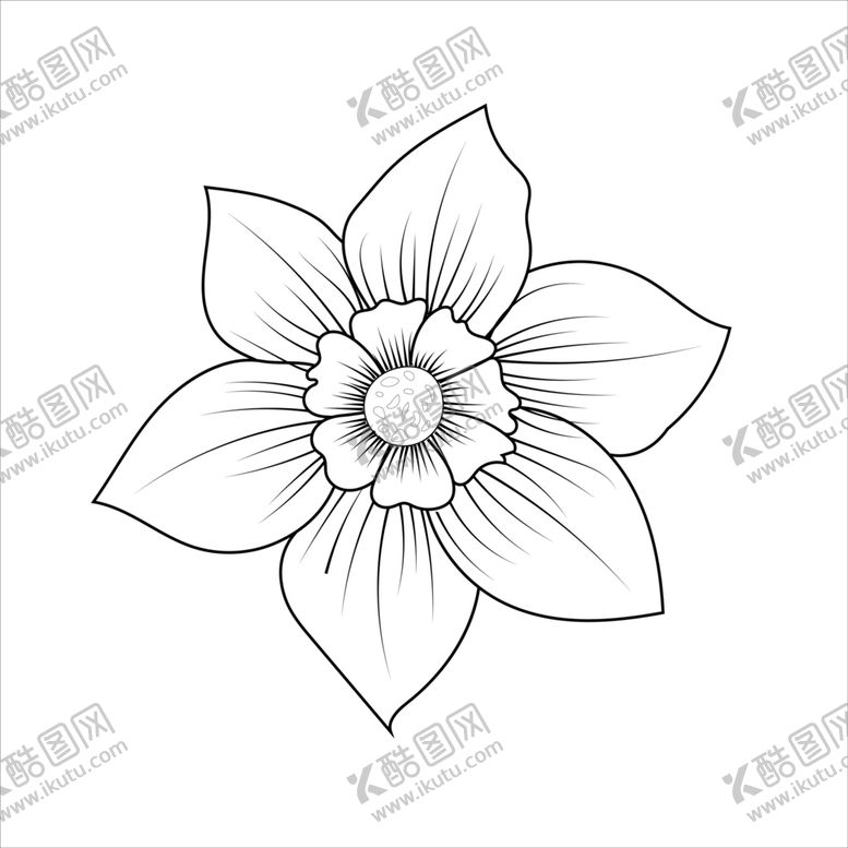 编号：90583110110931347612【酷图网】源文件下载-水仙花线稿