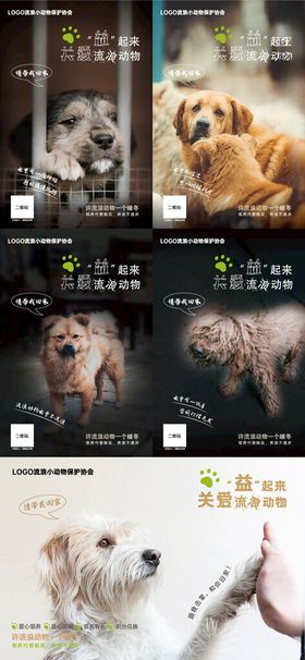 宠物领养活动