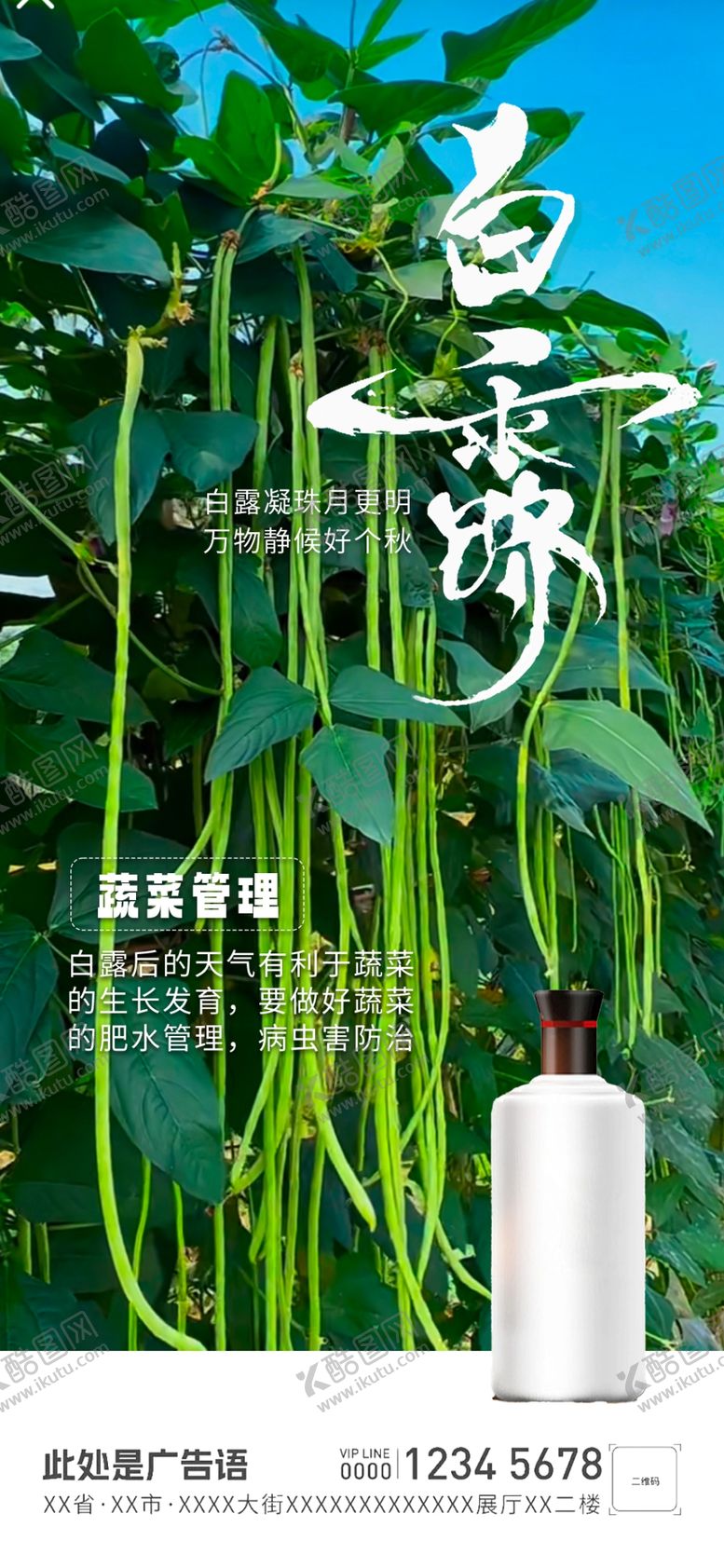 编号：84896601202049255294【酷图网】源文件下载-白露