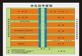 平面图示范园平面图大棚图