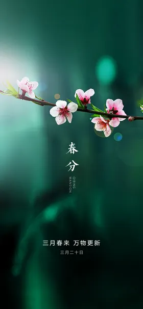 春分节气海报竖蛋闪屏DM