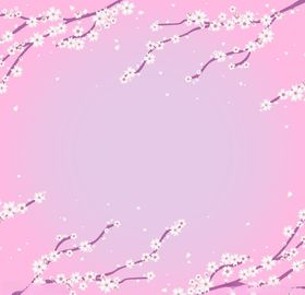 樱花