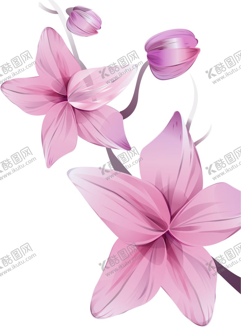 编号：45822310230205032112【酷图网】源文件下载-鲜花素材