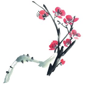 中国风水墨梅