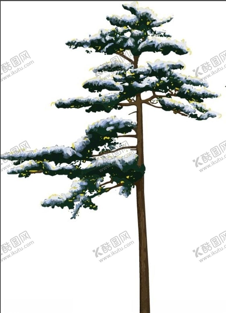 编号：76569609282312393058【酷图网】源文件下载-矢量东北雪松