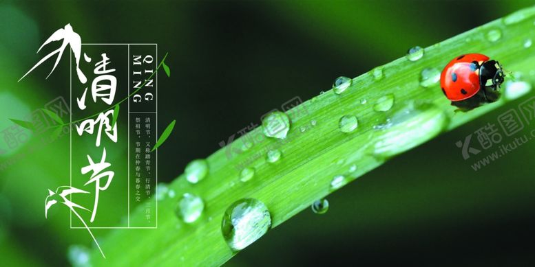 编号：66306510281236127935【酷图网】源文件下载-清明节