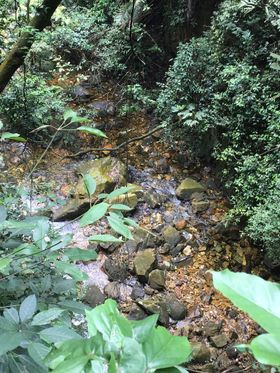 鼎湖山山水