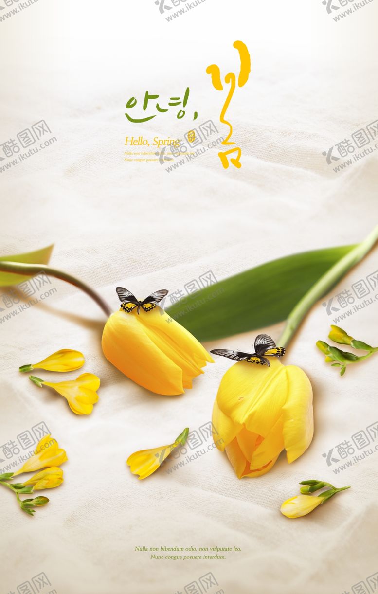 编号：17544710051107553327【酷图网】源文件下载-夏季鲜花植物