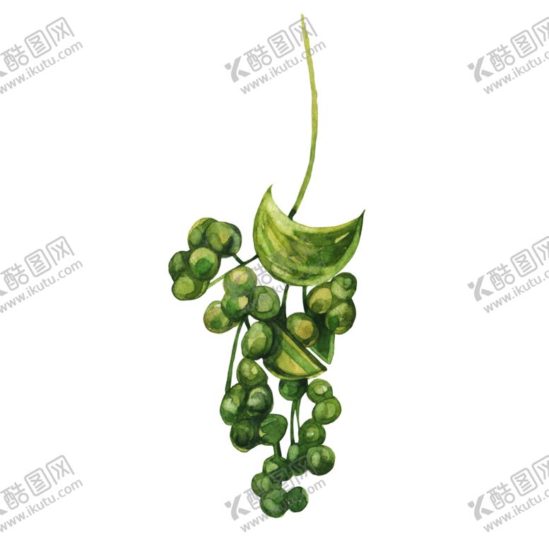 编号：82792307052344049970【酷图网】源文件下载-北欧手绘插画