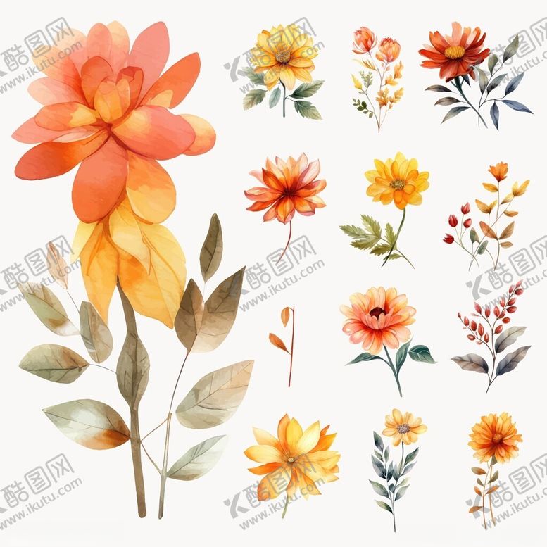 编号：63915811150015285370【酷图网】源文件下载-水彩花卉插画素材集合