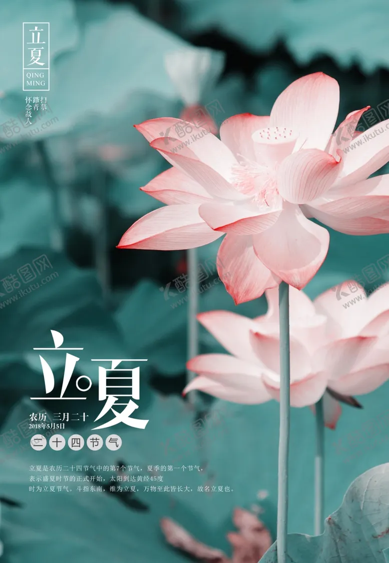 编号：21375304271558344940【酷图网】源文件下载-立夏时节的粉嫩荷花