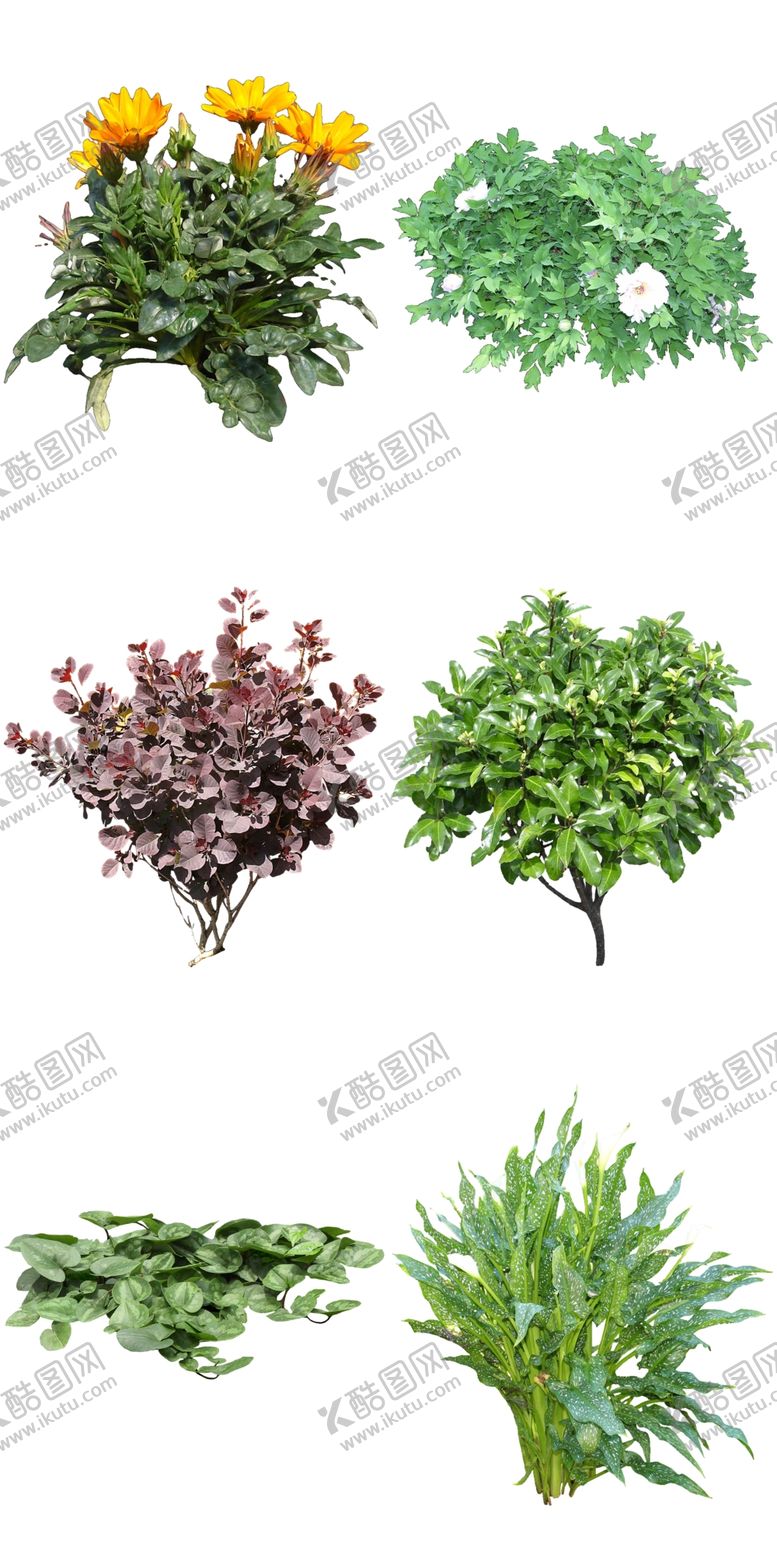 编号：77372812060218459479【酷图网】源文件下载-道路花卉