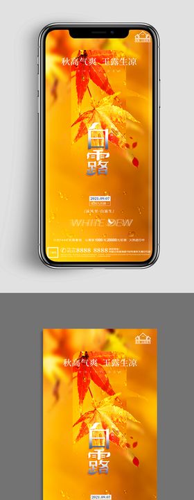 地产白露节气海报