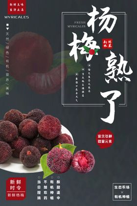 新鲜杨梅