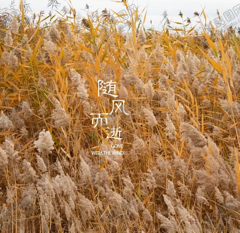 编号：17648804110617125425【酷图网】源文件下载-摄影特写