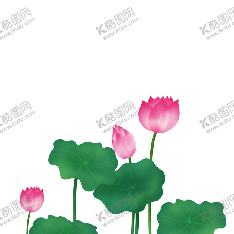编号：88994009241907073041【酷图网】源文件下载-荷花元素