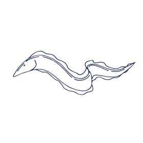 手绘海洋生物