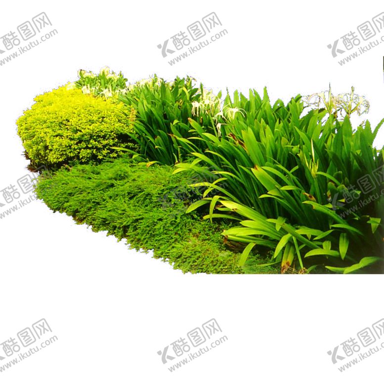 编号：70916109170139503837【酷图网】源文件下载-植物