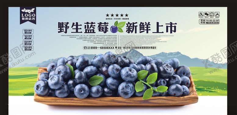 编号：85249210082152416639【酷图网】源文件下载-蓝莓