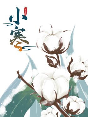 棉花