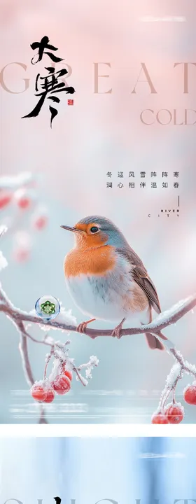 地产小寒大寒风景海报