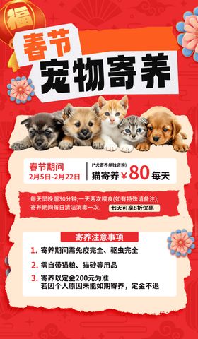 宠物寄养服务宣传海报