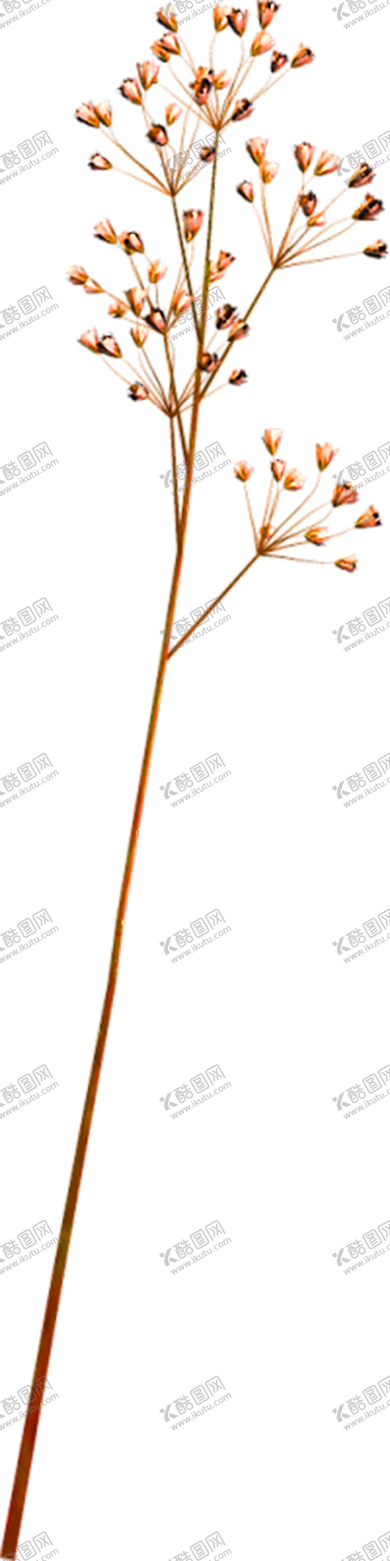 编号：48976809201034072482【酷图网】源文件下载-花素材