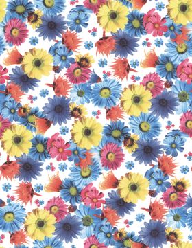秋季主题植物菊花开手绘插画