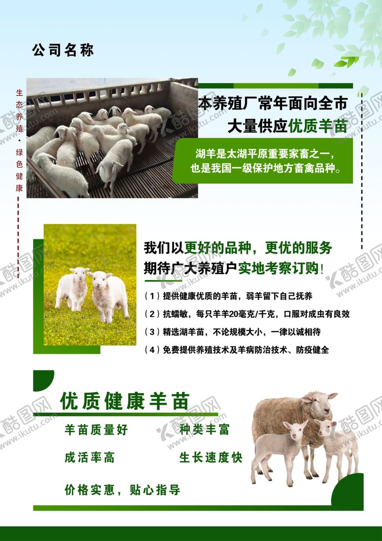 编号：52844801190853442881【酷图网】源文件下载-湖羊  羊苗