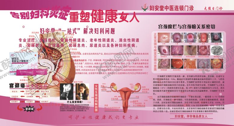 编号：26860510100406003240【酷图网】源文件下载-妇科炎症