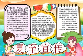 夏天小报